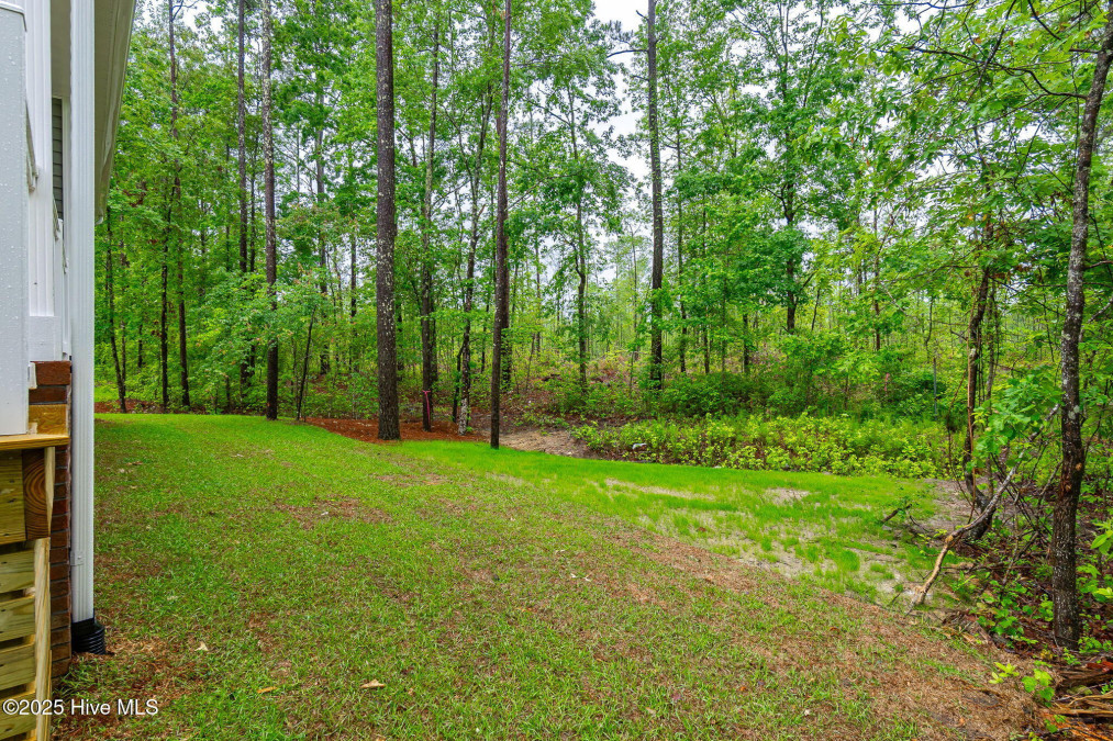 2404 Starling Ln New Bern, NC 28562