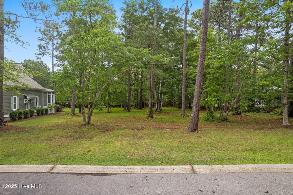 310 Bay Hill Ct Shallotte, NC 28470
