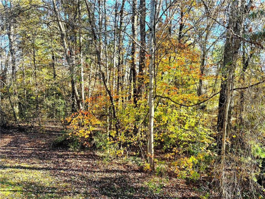 142 Pumpkin Patch Dr North Wilkesboro, NC 28659